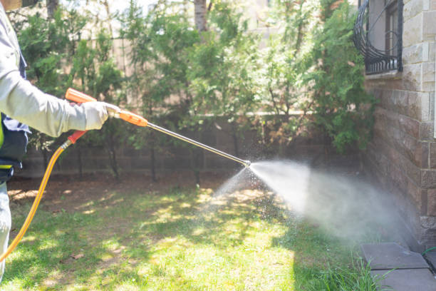 Best Fumigation Services  in Coushatta, LA